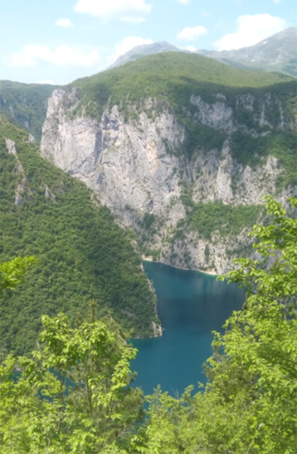 La naturopathie vitaliste